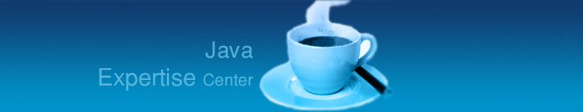 Sunmerge Technology- Java Expertise